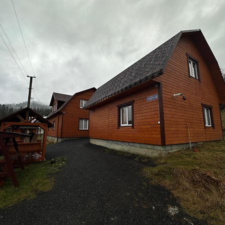 Карпатська Ніч Hotel Plave Bagian luar foto