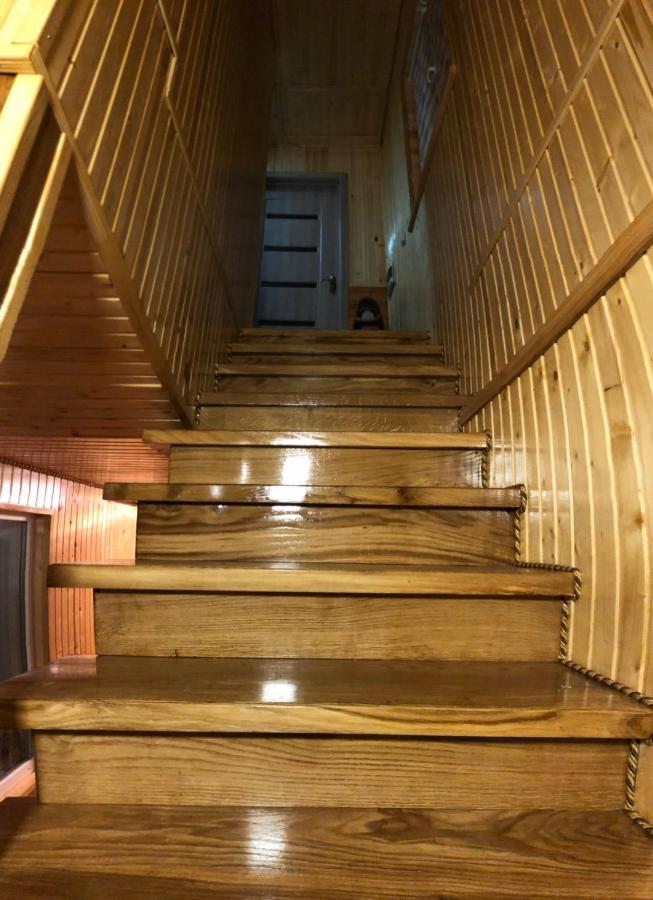 Карпатська Ніч Hotel Plave Bagian luar foto